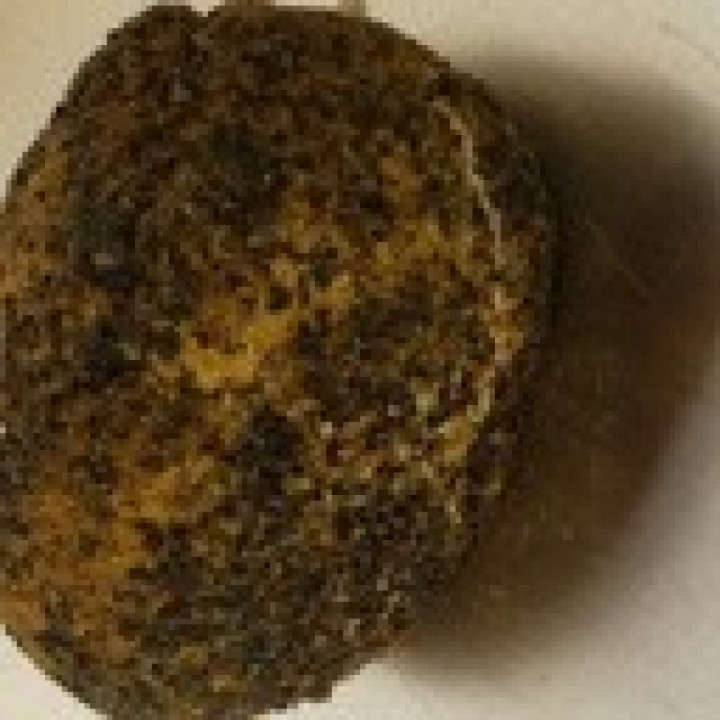 Bûchette curry / pavot – 100g