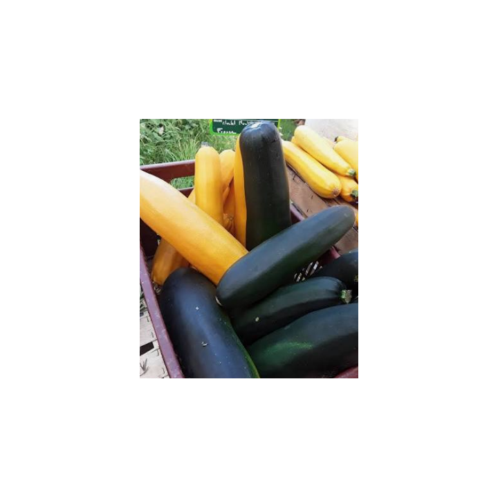 Courgette soupe bio 2kg