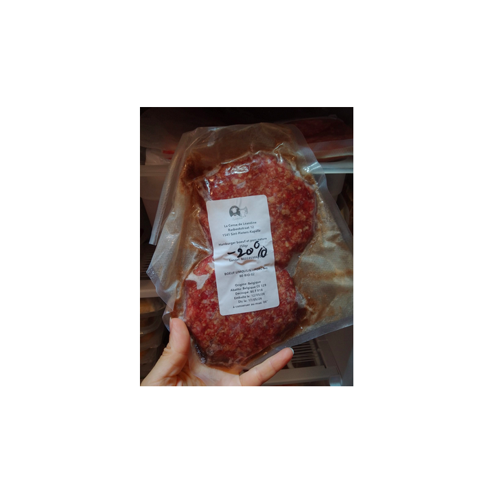 ❄️ LIQUIDATION congel - hamburger - 250g - Léandine