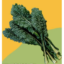 chou palmier bio