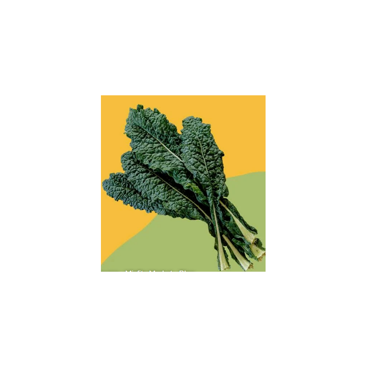 chou palmier bio