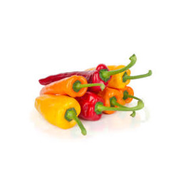 Poivron doux snack / Mini paprika