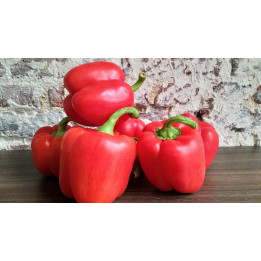 Poivron caré rouge / Rode Blok paprika