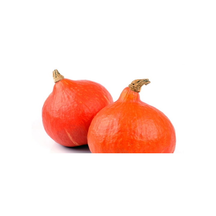 Potimarron bio