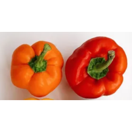 Pöivrons rouge/orange bio 1kg