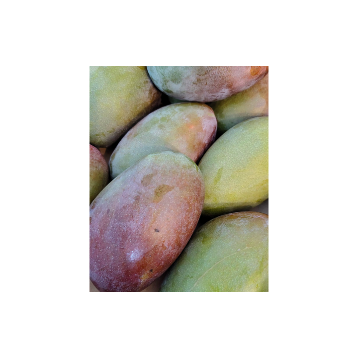 Mangue Oosten - 1pcs - BIO - ES