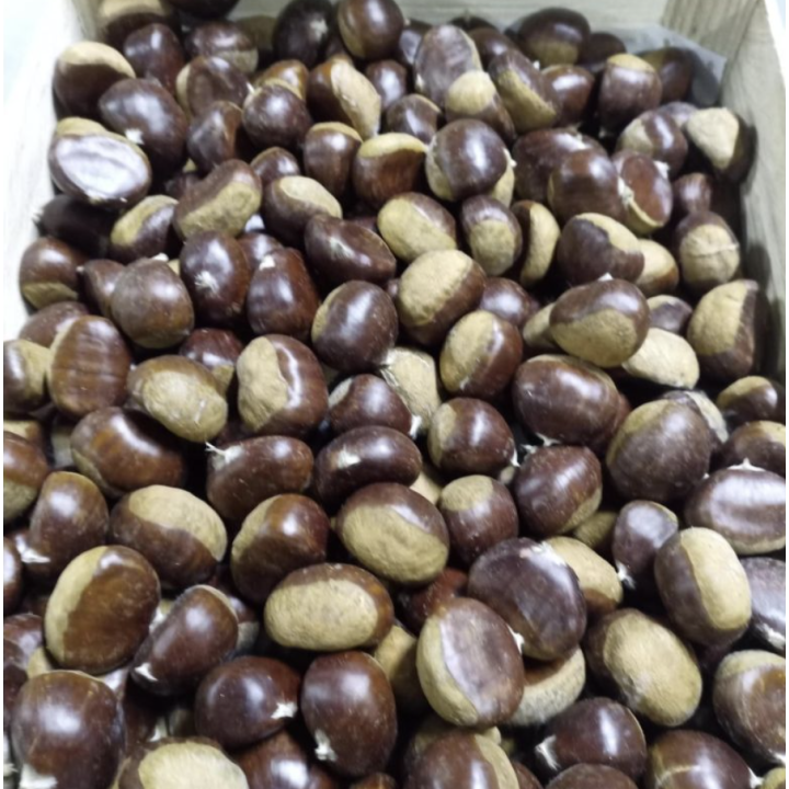 Chataigne - bio - 500g - FR