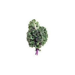 Chou Frise Rouge Botte Bio (+-400/500gr)
