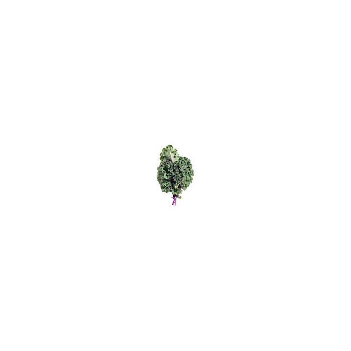 Chou Frise Rouge Botte Bio (+-400/500gr)