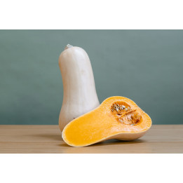 Butturnut bio