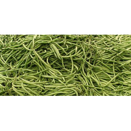 Haricot vert bio 0.5 kg