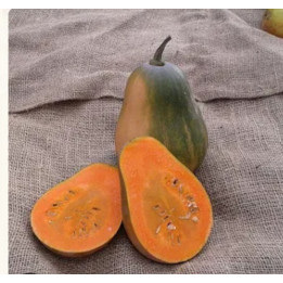 Courge sucrine du Berry