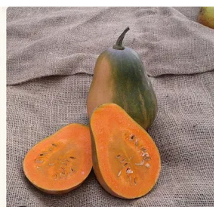 Courge sucrine du Berry