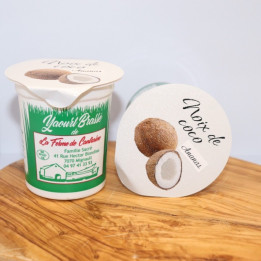 Yaourt noix de coco/ananas – 125g