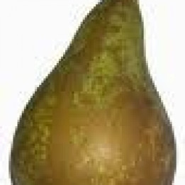 Poire Conférence PETIT CALIBRE - 1kg