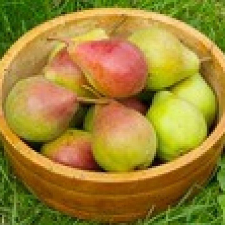 Poire Louise bonne d'Avranche - 1kg