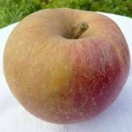 Pomme Boskoop  - 1kg
