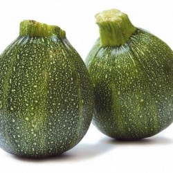 Courgettes rondes vertes - 1kg