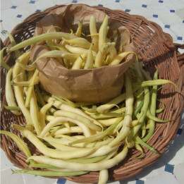 Haricots beurre fines / Boterboontjes 300g