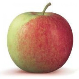 Pomme Jonagold - 1kg