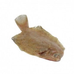 Limande - filet avec peau...