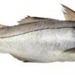 Eglefin filet avec peau ***SURGELÉ - 300gr