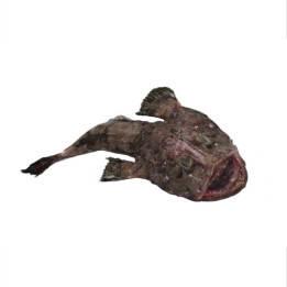 ❄️ Lotte - filet sans peau avec arêtes - 300g CONGELEE