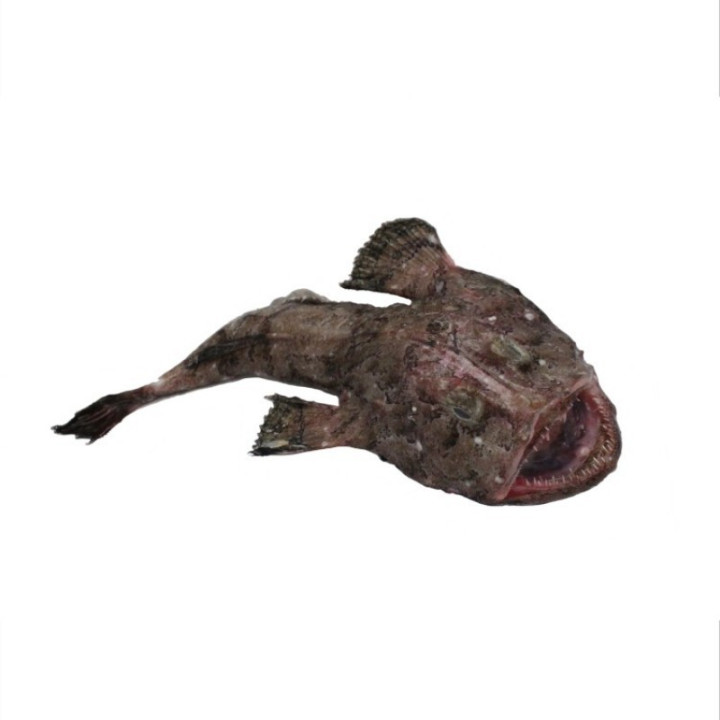 ❄️ Lotte - filet sans peau avec arêtes - 300g CONGELEE