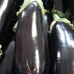 Aubergine - 500g