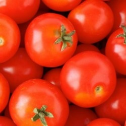 Tomates cerises /...