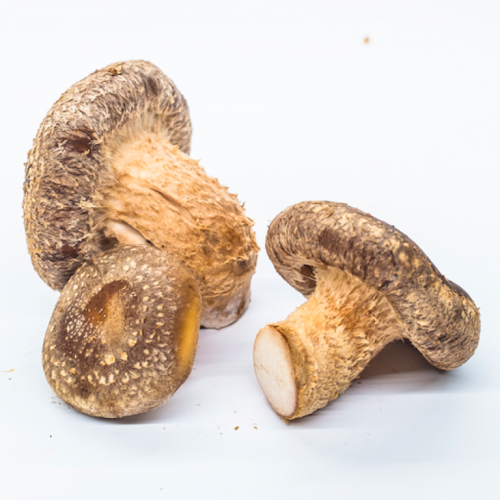 Champignons - SHIITAKES frais - 250g en sac kraft - bio