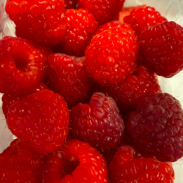 Framboises/Frambozen  - 125g
