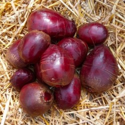 Betterave rouge vrac - 500g