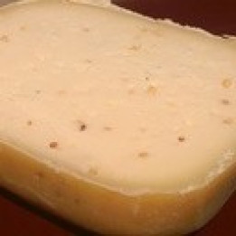 Cantraine moutarde - BLOC de 300g