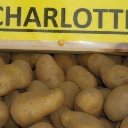 Pommes de terre à Chair...