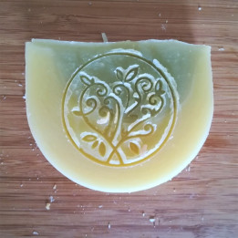 Shampoing au chanvre et ricin – 100g