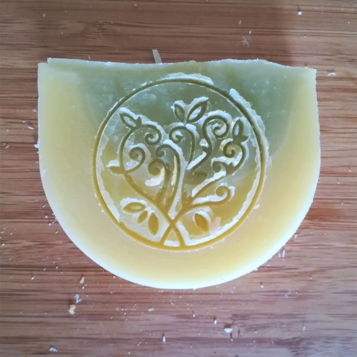 Shampoing au chanvre et ricin – 100g