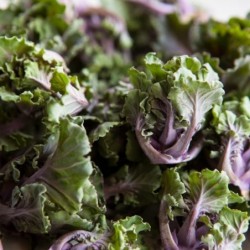 Flowersprouts/Kalinettes -...