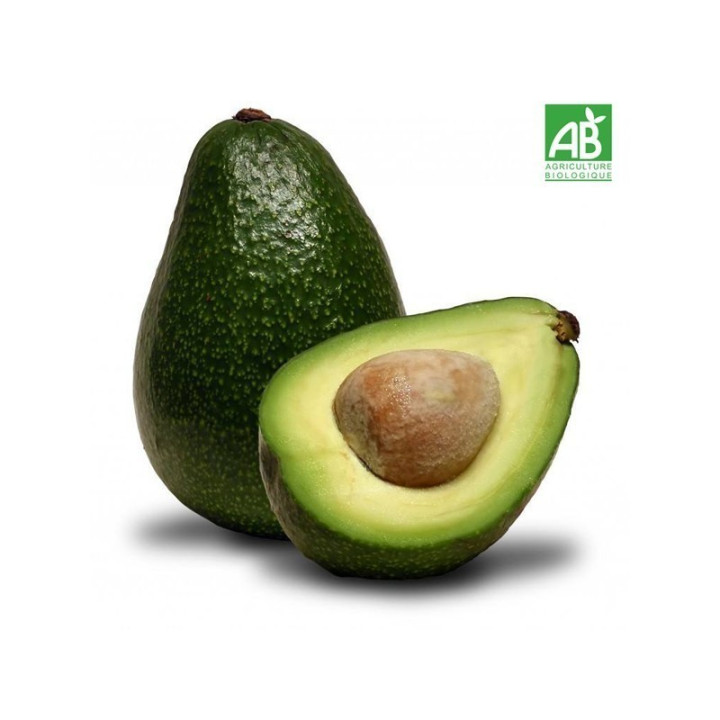 Avocat - BIO - Pérou - pcs