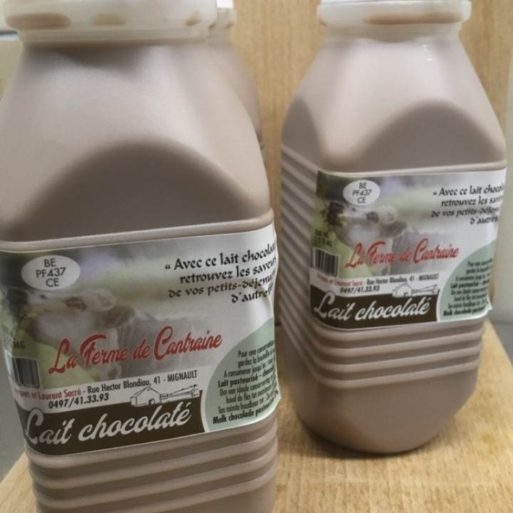 Lait chocolaté - 500ml