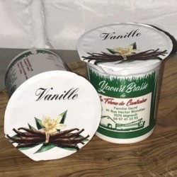 Yaourt vanille - 125gr