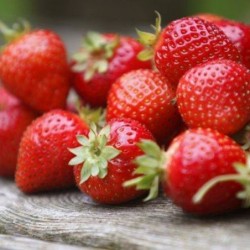 Fraises  JOLY 500 g
