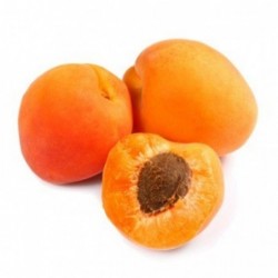 Abricots – 2kg – BIO