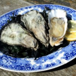 Huitres Sauvage Wilde Wad NL - taille 2 (260gr) - 6pc - DLC dimanche