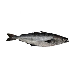 ❄️ Lieu noir filet sans peau***congelé - 300gr.
