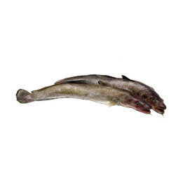 ❄️ Julienne filet sans peau***congelé - 300gr.