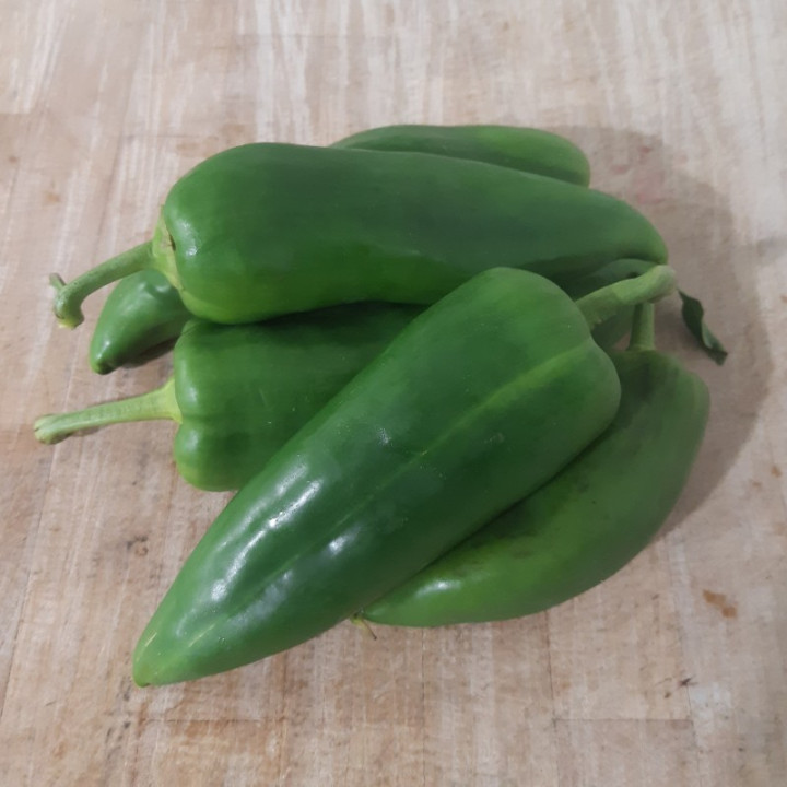 Poivrons verte 500g / Groene paprika