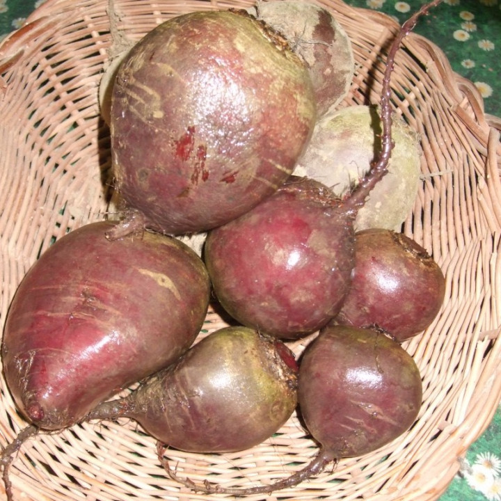 Betterave rouge vrac / Rode biet 500g