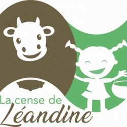 Onglet de vache Limousine...