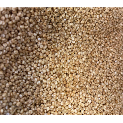 Quinoa bio – VRAC*500g